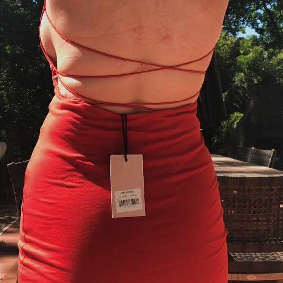 Tiger Mist Bentley Dress - Picture 3 of 6